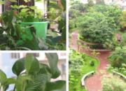 ������Ϊ��ʲô��(ͼ)