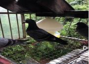 ��һ�������еı���