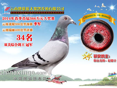 �������֡�������֮��ṫ������ھ�(ͼ)