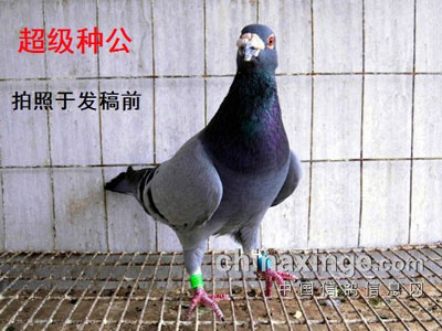 ���羲ˮ���������ֹ���(ͼ)