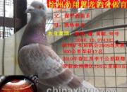 ����������ǧ�����������(ͼ)