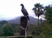 ��Զ�����䣺ʮ����������ؼ�