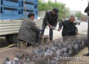 2014������ٹ��ﴺ������(ͼ)