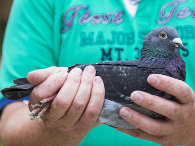 ����ʱ������ȫ��һ���ھ�����(ͼ)