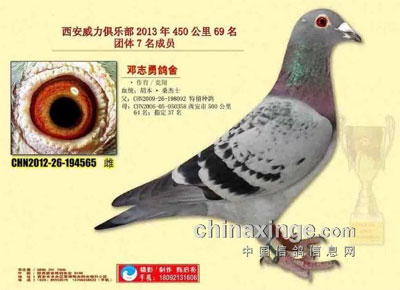 ����Ԯ�� ������ս����