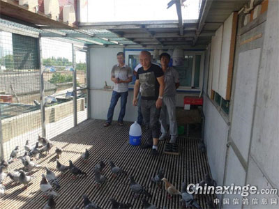 ���Ѵ��ţ��ι�ΰҵ����(ͼ)