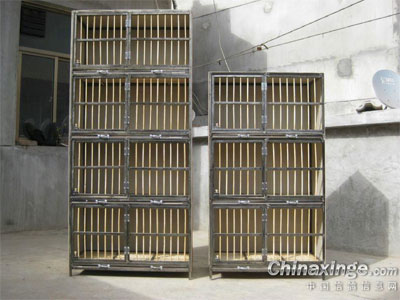 ��Ϊ����������(ͼ)