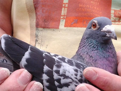 ŷ�޲����ࣺ����ȫ��ǰʮ���ɼ�(ͼ)