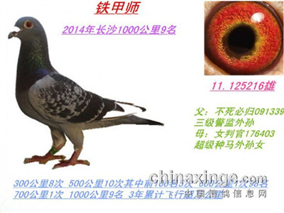 ��8��1000������������˵�����ع�(ͼ)