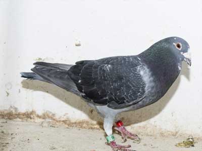 ����ʱ����I�������ھ���¯(ͼ)