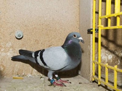 ����ʱ���������������ھ�����(ͼ)