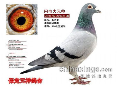 �ҵ���ʵ���뾭�����Ӵ򵯹������Ǿ�