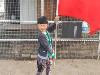 �Ӱְ����нӹ��������(ͼ)