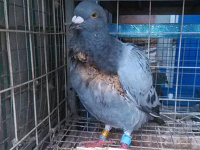 ���ײ�ƵĴ�������(ͼ)