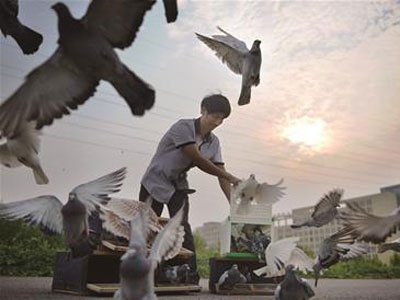 �м���������Ȫ ��������ǿ���ھ�(ͼ)