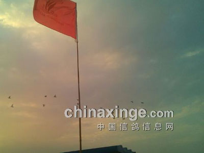 �������������