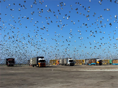 ŷ����������߳���������ͬ�վ���