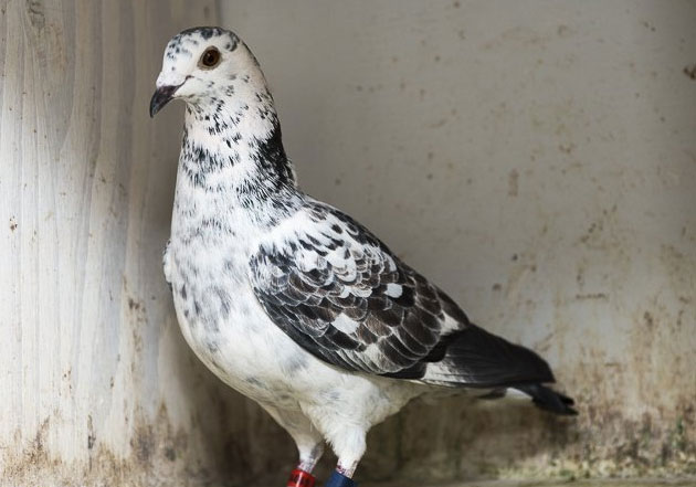 ����ʱ�Ǿ���I����������������