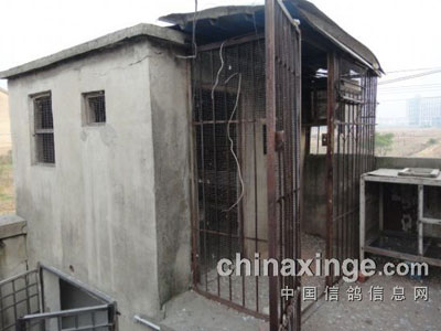 ��ʮ���������ؽ�(ͼ)