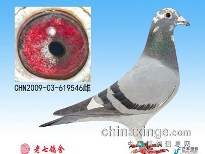 ƾ������̭ �������ʣ��ֻ(ͼ)