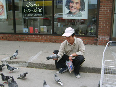 ���ô���������ι�㳡����ʮ��(ͼ)