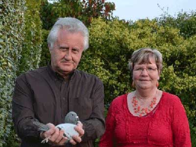 ����ʱ������II����˳������(ͼ)