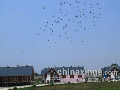 ����̽���߾��ֲ���Ӱ(ͼ)