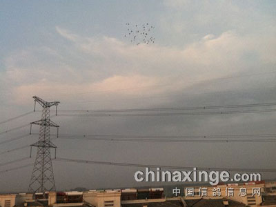 ��ѹ���µ��峿�ҷ�(ͼ)