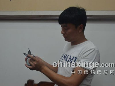 ��ԭ�����������������(ͼ)