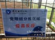 Լ��ظ��Ѳιۺ��ݹ���(ͼ)