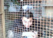 ����������Ҳ�����û�ø�(ͼ)