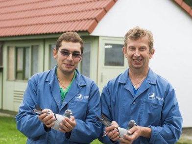 ����ʱ���������������ھ����(ͼ)