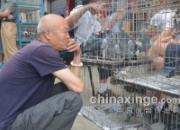 ����֣�ݸ���(ͼ)