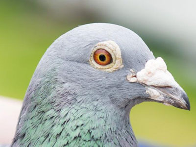 ����ʱ������ȫ���ھ���¯(ͼ)