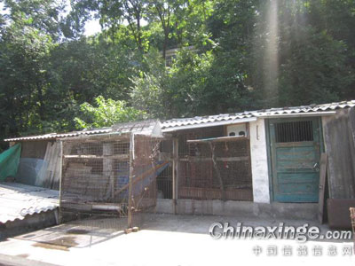 �߷ø����иС���������(ͼ)