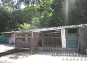 �߷ø����иС���������(ͼ)