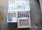 ��������Ĺ�����רҵ�Ӹ���(ͼ)