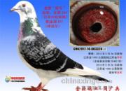 ��2014�꽭��ǧ���＾���ܹ��(ͼ)