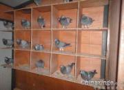 �¸���֮�ҵġ������ر�(ͼ)