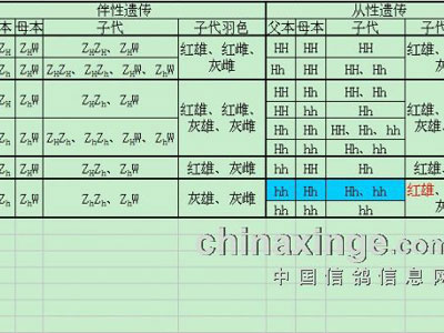 筸��Ŵ����񡰴����Ŵ���(ͼ)