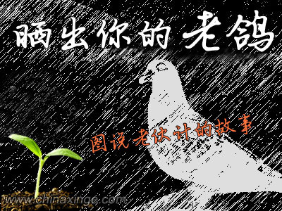 ���޵����������ϸ롪���н�ɹ�ϻ�ƵĹ���