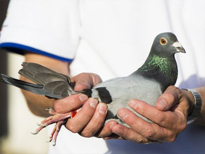 ����ʱ���𸣹ھ���¯ ������ȥ������ǧ(ͼ)