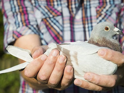 ŷ��������������������ھ�����(ͼ)