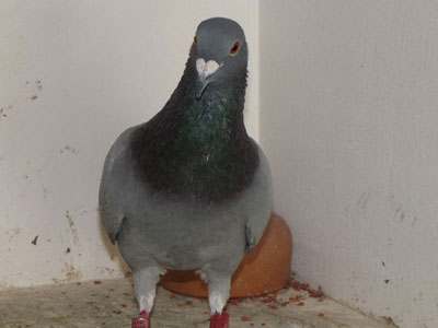 ����ʱ����һ���ھ���¯(ͼ)