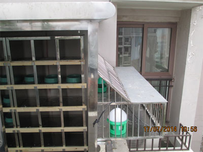 ��ƽ��С����(ͼ)