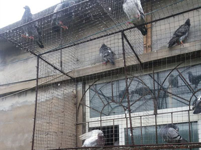 �������Ȼԡ��(ͼ)