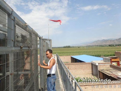 ��ҵ�г�������(ͼ)