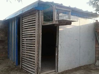 ���ϴ��ֹ�����ײ˼۸���(ͼ)