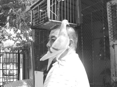 ɽ����̨���ѹ������������̻Ҹ�