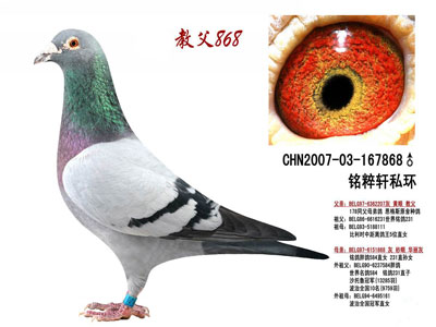 һֻ���ӵ��԰ף��ҷ��衭�� 